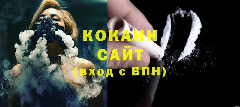 COCAIN Fish Scale  ОМГ ОМГ как войти  Заозёрск  купить наркоту 